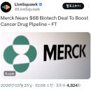 파마메디 | 머크 턴스 파마 인수하나