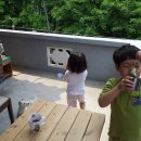 하우스유 Daum카페