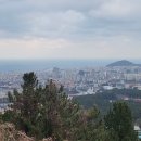 노블제주7일차. 이미지