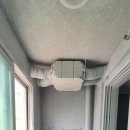 디에스더웰가 이미지