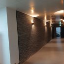 리온 메디 이미지