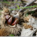 송죽농장 이미지