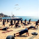 해양 경찰의 굳건한 주춧돌 해양 경찰 교육 원 기초 체력 단련 장 심 층 분석 이미지