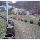 땅위의농장 이미지