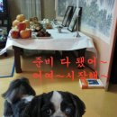 큰집 Daum카페