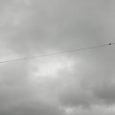 안경공장 앞 이미지