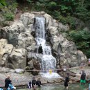 자연알로(보령) 이미지