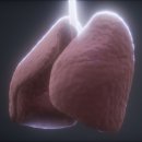 자연힐한방병원 이미지