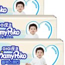 포코몰