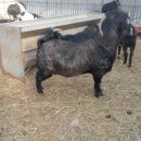 제이농장 이미지