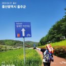 회야강변 이미지