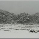 용두산산악회제268차2020년2월25일 황석산 눈산행은 눈이없어 변경함 이미지