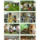 [전국귀농운동본부] 62기 여름생태귀농학교가 "해남"에서 열립니다!(접수중) 이미지