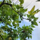 서울장신대학교 자연치유선교대학원 이미지