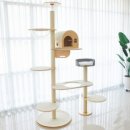 오로라 캣 이미지