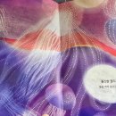 비올레따 이미지