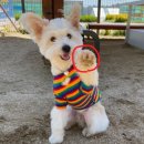 멍블멍블 이미지