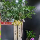 해성노래연습장 | [광안리맛집] 광안리 테라스타오션 상가 2층 끝내주는 오션뷰 해성막창집 가오픈 회식 후기~