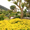 가야농장 이미지