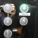 민트동물병원 | 2026 여름네일! 강남네일 ‘루엘네일’에서 완성한 민트 자석젤 (신논현네일 논현네일 추천)