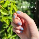 인계동 1113 | 수원 인계동 가성비 좋은 네일 제리트 자석젤 잘하는곳