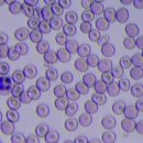 낙선재한의원 이미지