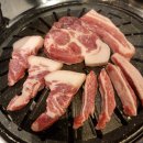 마포꽃돼지 이미지