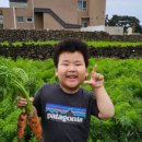 동욱농장 이미지