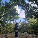 인천대공원(거수골) 이미지