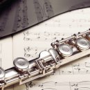 플루트(1년) 이미지