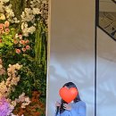 다인축사 이미지