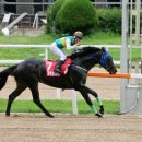 삼관목장 이미지