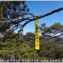 무등목장 이미지