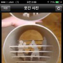 정헤어샾 - 목포시 | 정헤어샾