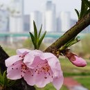 서구노인복지관(6) 이미지