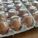 계성양계영농조합법인 - 광주시 | 계성양계영농조합법인