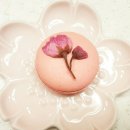 달콤베이킹스튜디오 이미지