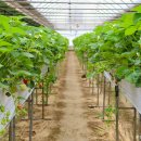 상이농장 이미지