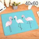 플라밍고 이미지