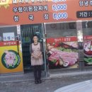 돼지한마리 이미지