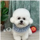 몽개구름 이미지