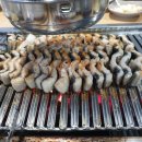 더기운센풍천장어