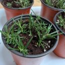 도시농업-스마트팜 전문가 과정 이미지