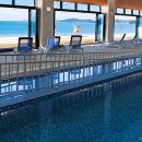 완도1호 이미지