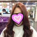 클레오파트라미용실 이미지