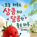 술 한잔 하면서 오늘을 잊는다 이미지