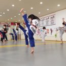 경희대 태권나라 태권도장 이미지