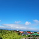 제주게스트하우스민박 이미지