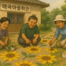 하노마을회관 이미지