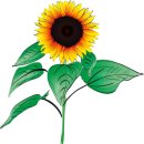 공감심리상담. 행정사. 인력사무소 이미지